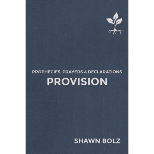 Provision: Prophecies, Prayers & Declarations Volume 2 - Hardcover