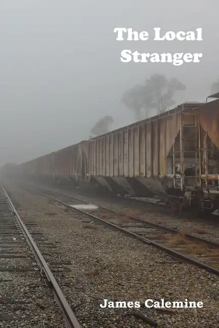 The Local Stranger: Short Stories - Paperback
