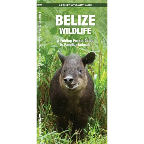 Belize Wildlife: A Folding Pocket Guide to Familiar Animals - Paperback
