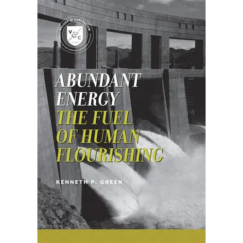 Abundant Energy: The Fuel of Human Flourishing - Paperback