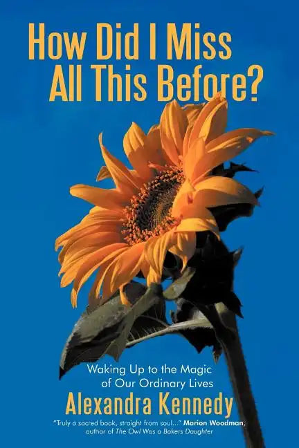 How Did I Miss All This Before?: Waking Up to the Magic of Our Ordinary Lives - Paperback