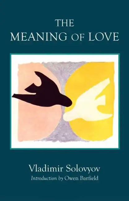 The Meaning of Love - Paperback