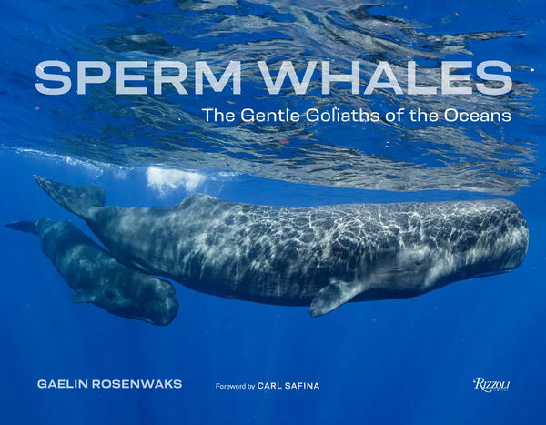 Sperm Whales: The Gentle Goliaths of the Ocean - Hardcover