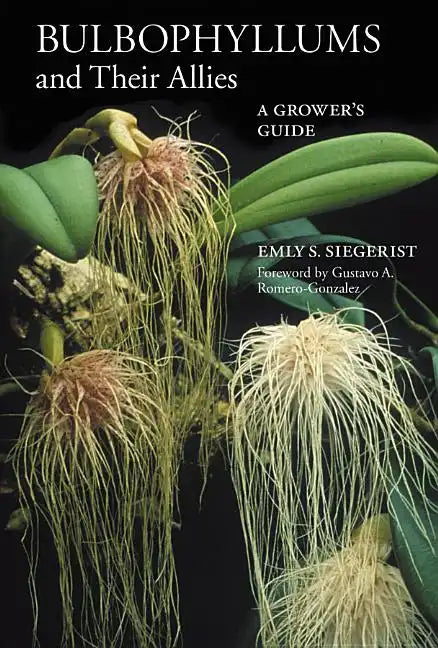 Bulbophyllums and Their Allies - Paperback