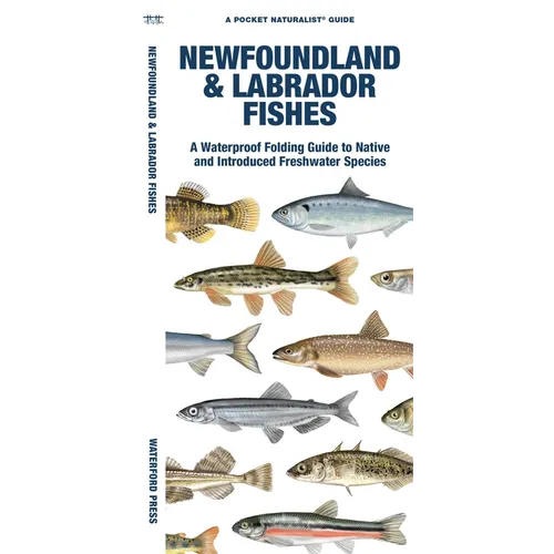 Newfoundland & Labrador Fishes - Paperback