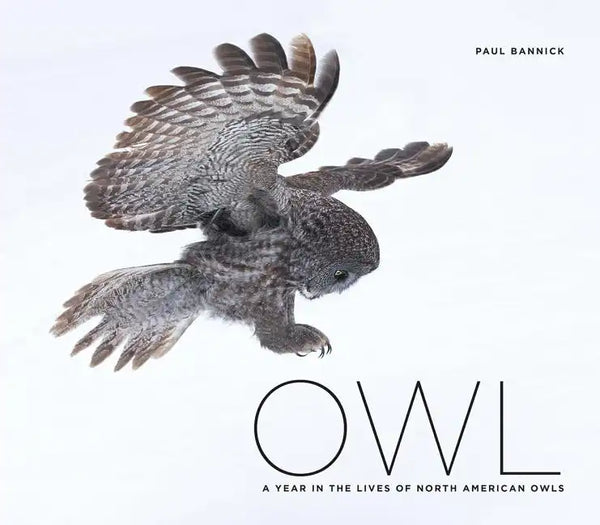 Owl: A Year in the Lives of North American Owls - Hardcover