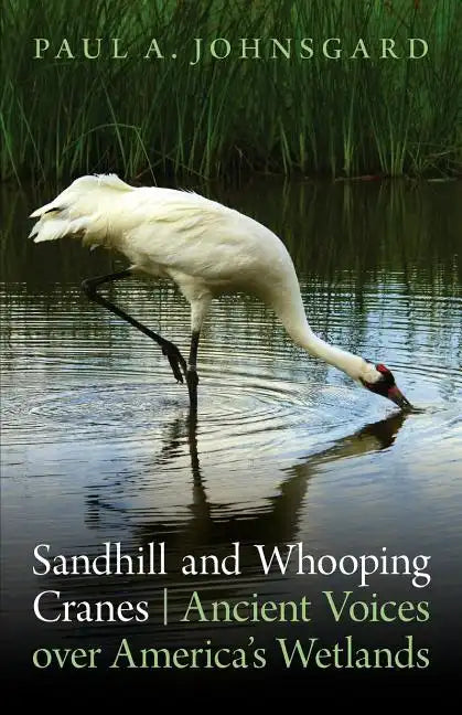 Sandhill and Whooping Cranes: Ancient Voices Over America's Wetlands - Paperback
