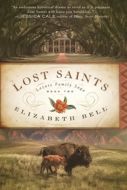 Lost Saints - Paperback