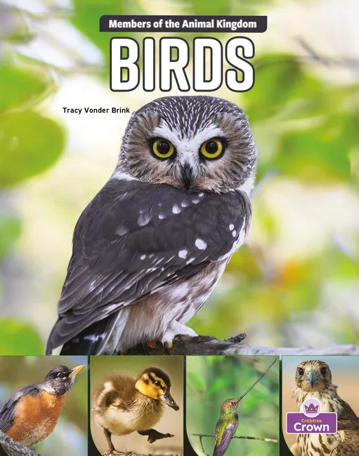 Birds - Paperback
