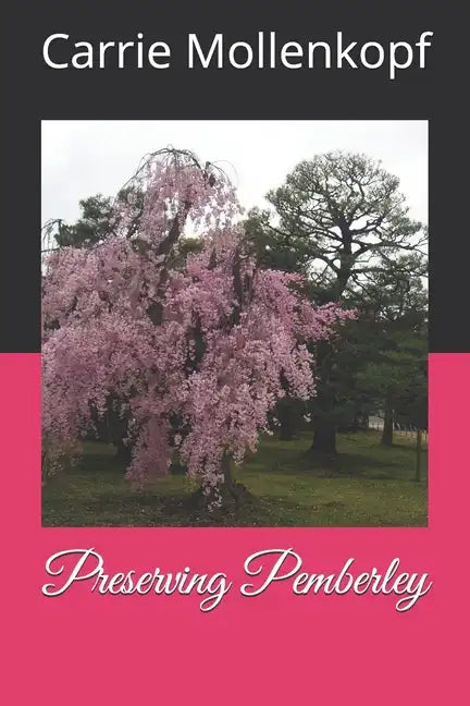 Preserving Pemberley - Paperback