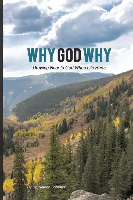 Why God Why - Paperback