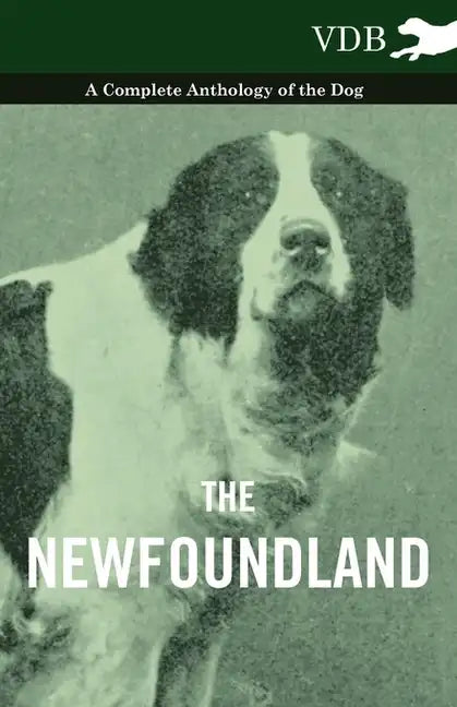 The Newfoundland - A Complete Anthology of the Dog - Paperback