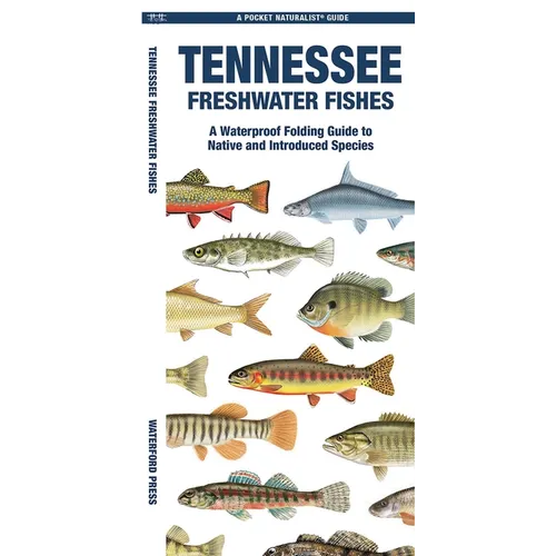 Tennessee Freshwater Fishes - Paperback