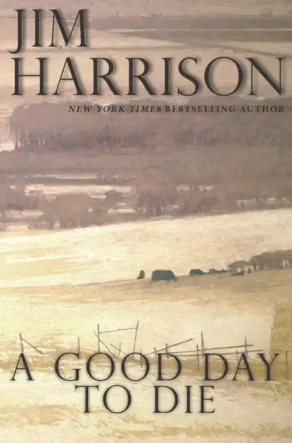 A Good Day to Die - Paperback