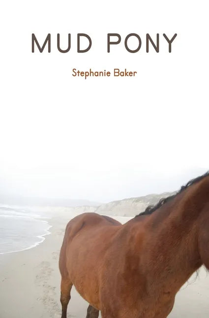Mud Pony - Paperback