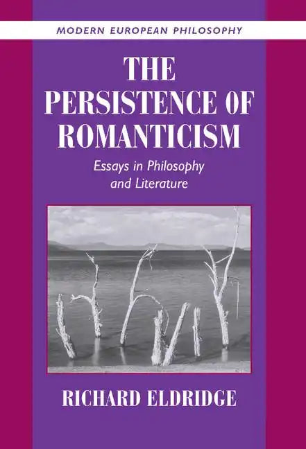The Persistence of Romanticism: Essays in Philosophy and Literature - Hardcover