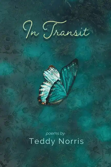 In Transit - Paperback