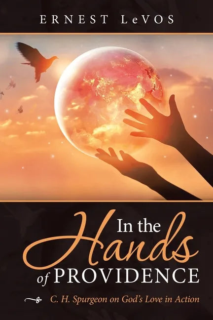 In the Hands of Providence: C. H. Spurgeon on God's Love in Action - Paperback