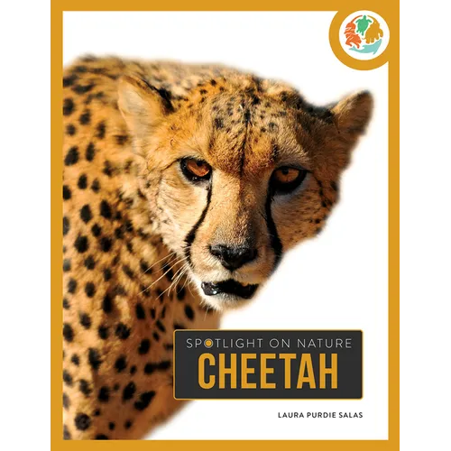 Cheetah - Hardcover