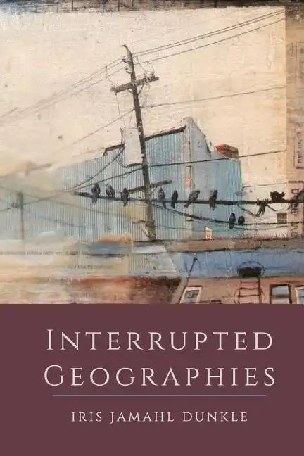 Interrupted Geographies - Paperback