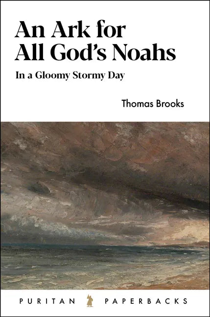 An Ark for All God's Noahs: In a Gloomy, Stormy Day - Paperback