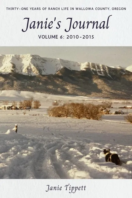 Janie's Journal, volume 6: 2010-2015 - Paperback