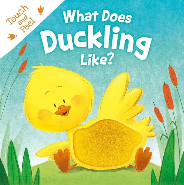What Does Duckling Like?: Touch & Feel Board Book - Board Book