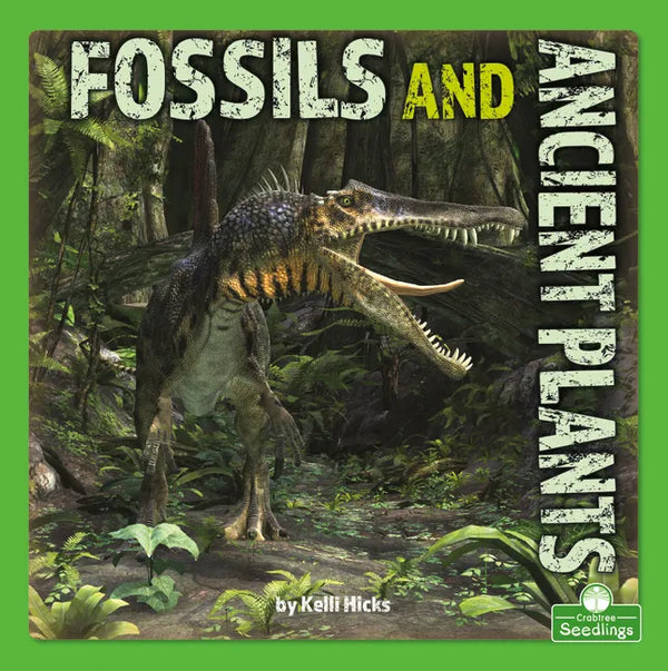Fossils and Ancient Plants - Library Binding