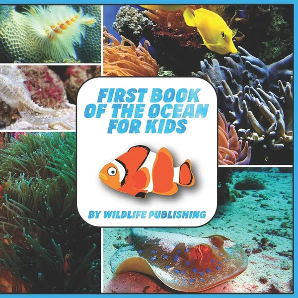 First Book Of The Ocean For Kids: Ocean Animals Activity Book - Paperback