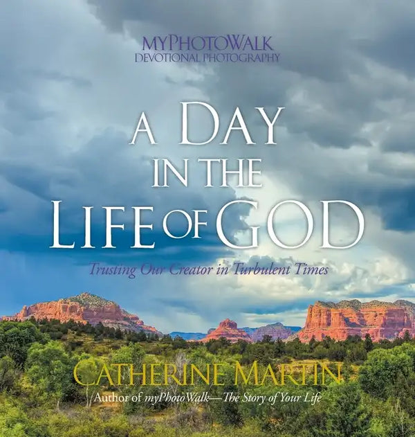 A Day In The Life Of God: Trusting Our Creator In Turbulent Times - Hardcover