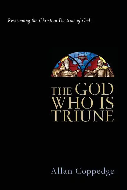 The God Who Is Triune: Revisioning the Christian Doctrine of God - Paperback