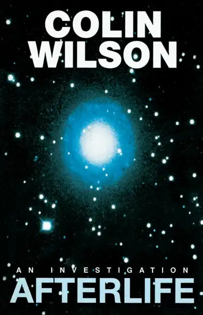Afterlife: An Investigation - Paperback