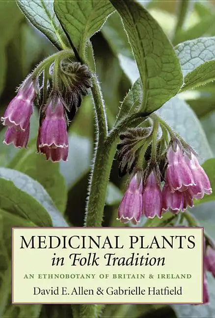 Medicinal Plants in Folk Tradition: An Ethnobotany of Britain & Ireland - Paperback