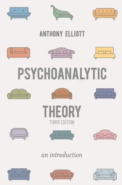 Psychoanalytic Theory: An Introduction - Paperback