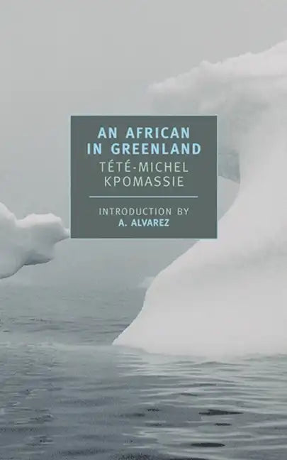 An African in Greenland - Paperback