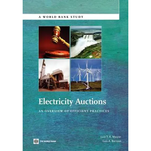 Electricity Auctions: An Overview of Efficient Practices - Paperback