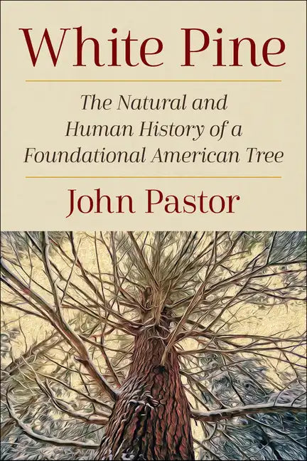 White Pine: The Natural and Human History of a Foundational American Tree - Paperback