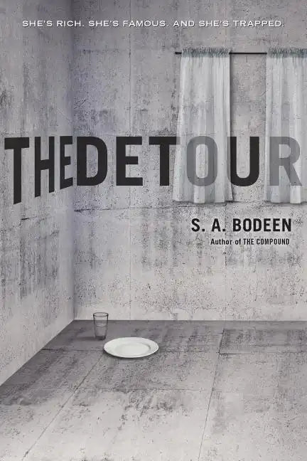 The Detour - Paperback