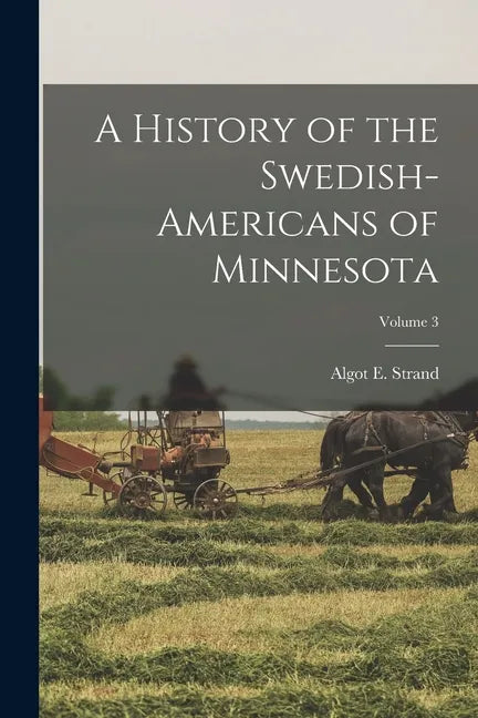 A History of the Swedish-Americans of Minnesota; Volume 3 - Paperback