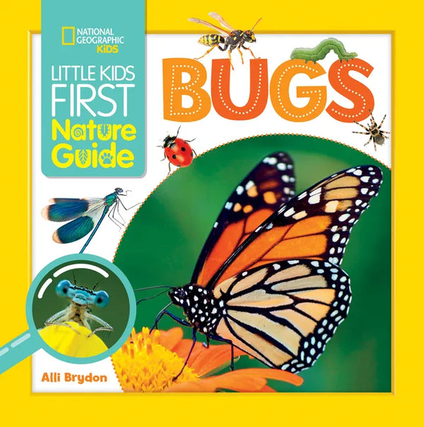 Little Kids First Nature Guide Bugs - Paperback