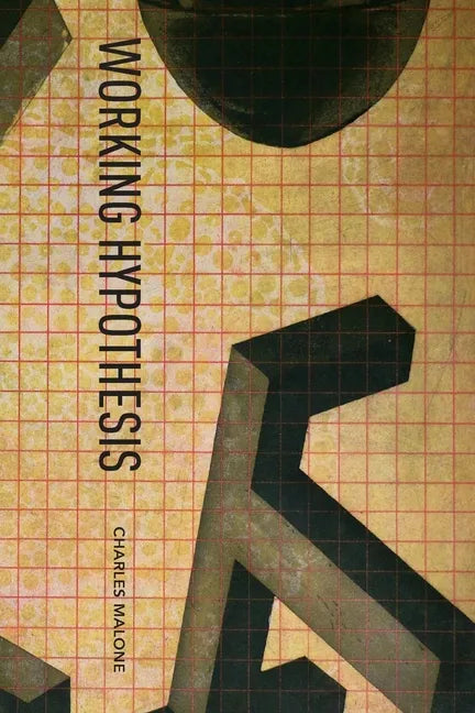 Working Hypothesis - Paperback