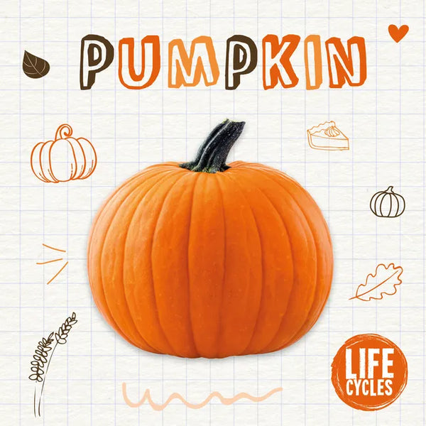 Pumpkin - Paperback