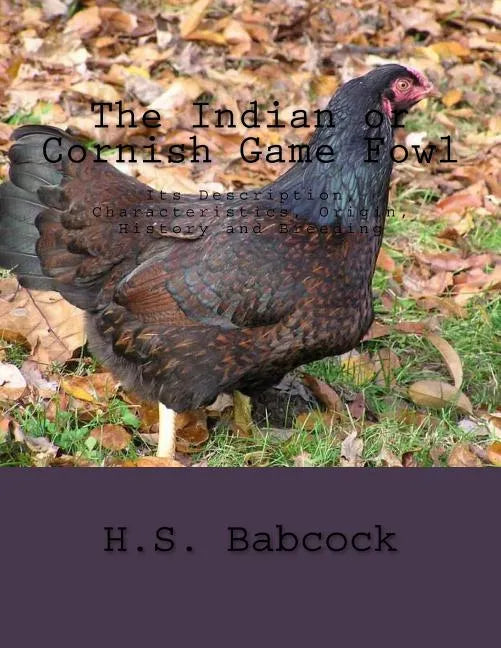The Indian or Cornish Game Fowl: Its Description, Characteristics, Origin, History and Breeding - Paperback