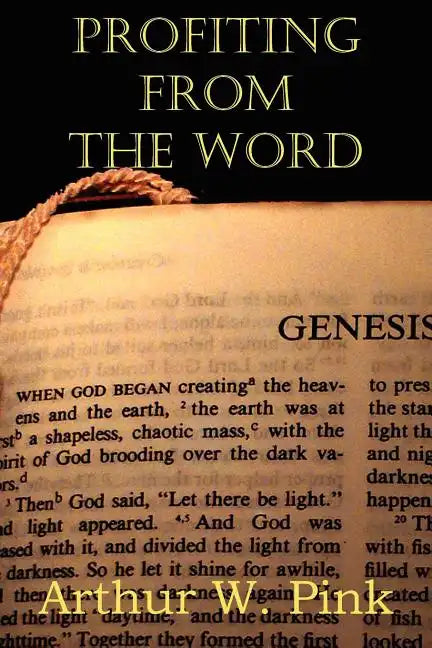 Profiting from the Word - Paperback