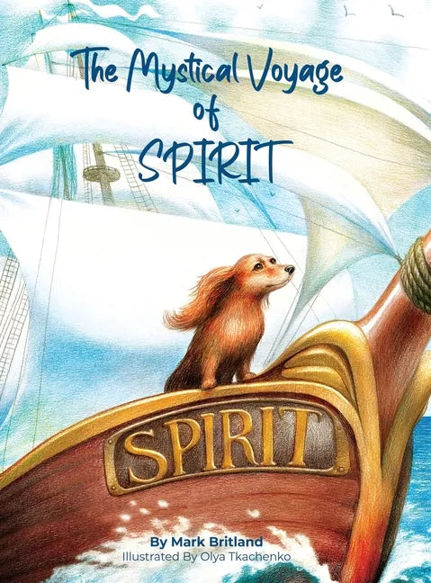 The Mystical Voyage of Spirit - Hardcover