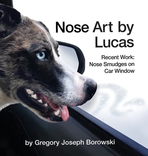 Nose Art by Lucas - Hardcover