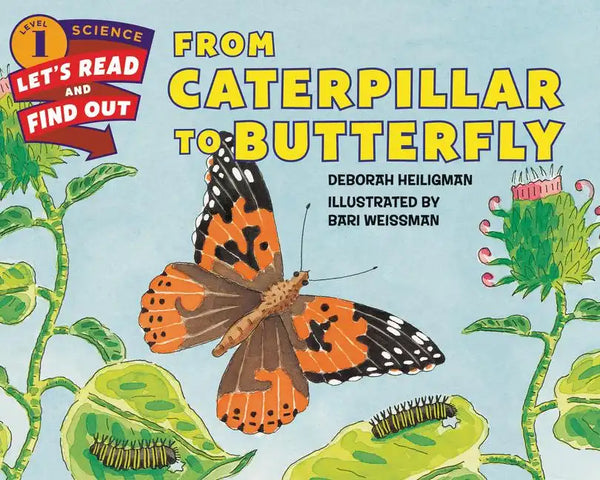 From Caterpillar to Butterfly - Paperback