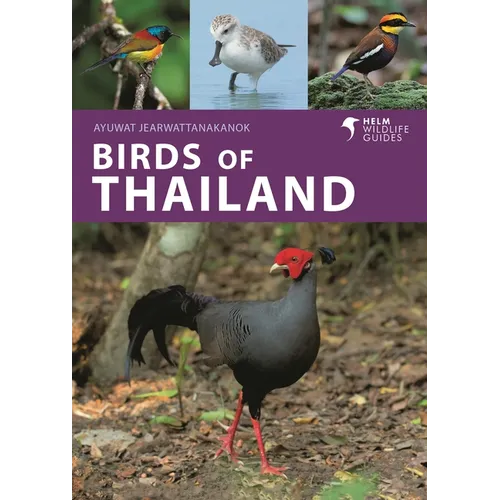 Birds of Thailand - Paperback