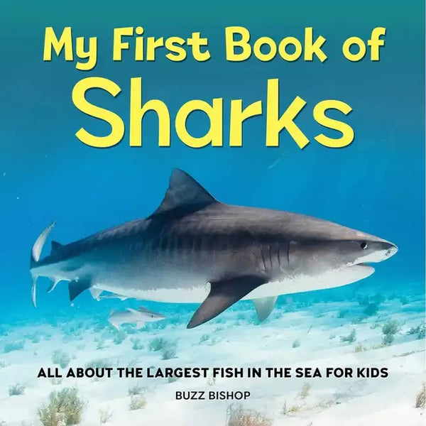 My First Book of Sharks: All about the Largest Fish in the Sea for Kids - Paperback