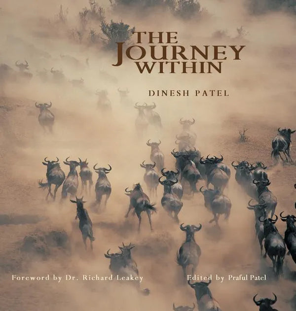 The Journey Within - Hardcover